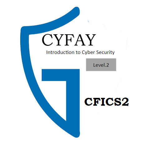 Introduction to Cyber Security course